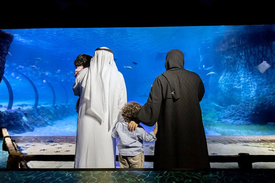 The National Aquarium Abu Dhabi