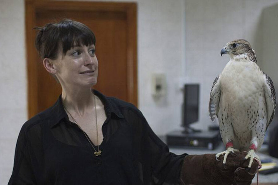 Falcon Tour Abu Dhabi