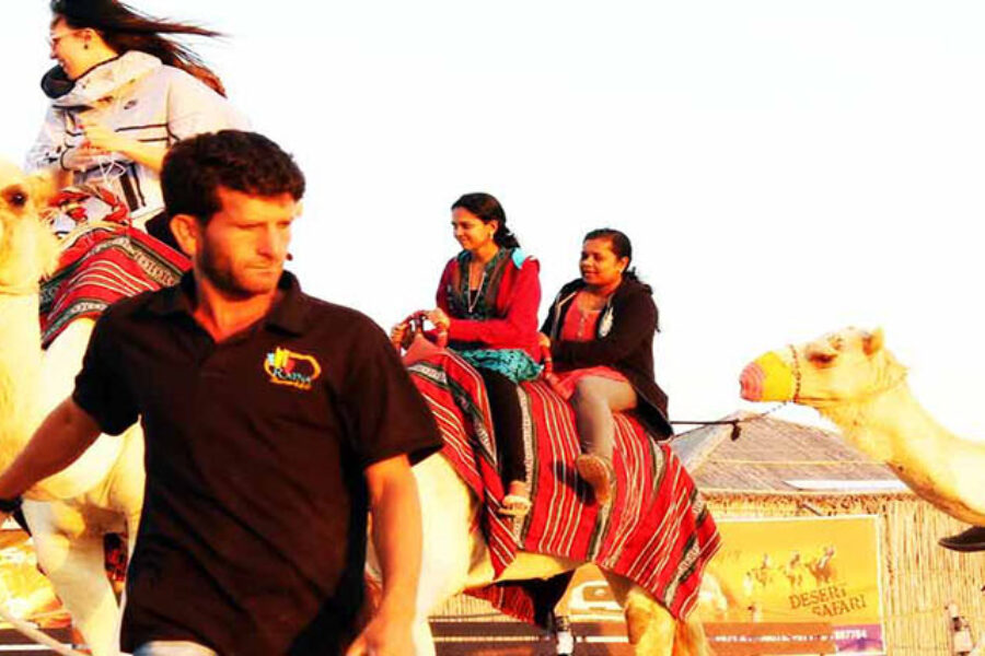 Camel Trekking in Abu Dhabi