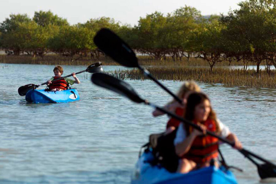 Mangrove Kayaking Abu Dhabi