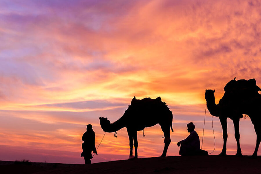 Ras Al Khaimah City Tour and Overnight Desert Camping Combo
