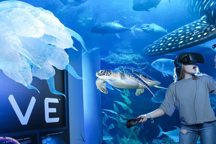 Dubai Aquarium and Ski Dubai